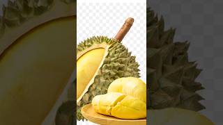 Only $3 Per 1kg! Amazing Giant Durian fruit cutting skills #durianmusangking