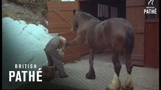 Blacksmith At Work (1960-1969)