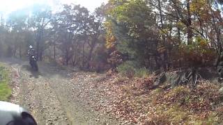 20141108八ヶ岳（茂来山）林道