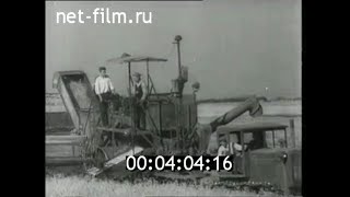 1954г. колхоз Путь к коммунизму станица Медведовская Тимашевский район Краснодарский край