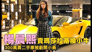 賣瑪莎拉蒂Maserati 換藍寶堅尼 Lamborghini　楊晨熙駕超跑被虧「開小黃」 | 台灣 蘋果新聞網