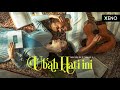 Michelle Maali - Ubah Hati Ini [Official Music Video]