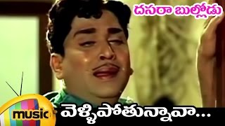 Vellipothunnava Telugu Song | Dasara Bullodu Telugu Movie | ANR | Vanisri | Anjali Devi