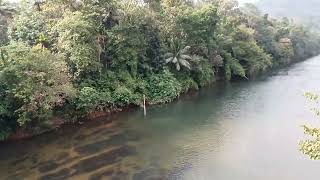 A fantastic view of kakkad river in seethathodu. Pta.. പ്രകൃതിരമണീയമായ കക്കാട് നദി ഒരു നേർക്കാഴ്ച.