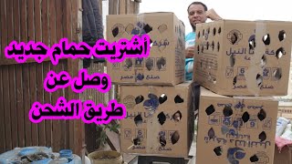 فتح 4 كراتين حمام وصلوا عن طريق الشحن 🌹 📦