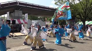 夢源風人　原宿表参道元氣祭2019　よさこい交流広場　２日目