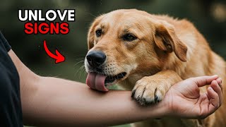 7 Signs Your DOG doesn't LOVE You (Watch this If You Think They Do)