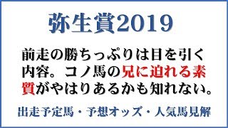 「弥生賞2019」出走予定馬・予想オッズ・人気馬見解