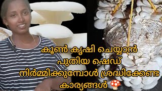 പുതിയ കൂൺ ഷെഡ്!  ശ്രെദ്ധിക്കേണ്ടതെല്ലാം   #shortvideos  #mushroomfarming #minivlog  #dailyvloge