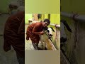 Bakrid sheeps 2022