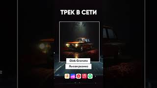 Трек «Лысая резина» в сети