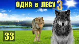 СОБАКА и ВОЛК СУДЬБА ДРУЖБА в ПЕЩЕРЕ - ОТНОШЕНИЯ ОДНА В ЛЕСУ РОБИНЗОН ЖИВОТНЫЕ ИСТОРИИ СЕРИАЛ 33