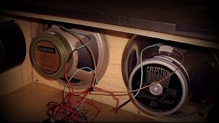 Celestion Greenback G12M vs Celestion Classic Lead 80 ( Fender Telecaster + Gibson Les Paul)