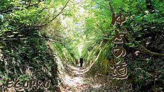 月山ECOPRO：2023.06.17.いにしえの「ゆどの道」