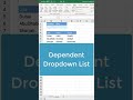 Dependent Dropdown List Conditional List #shorts