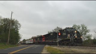 CN Freight Train 6