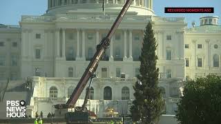 WATCH: 2019 U.S. Capitol Christmas tree arrives