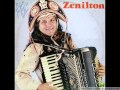 Zenilton - O Papagaio do Meu Amor