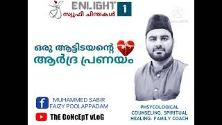 ഒരാട്ടിടയന്റെ ആർദ്ര പ്രണയം.MUHAMMED SABIR FAIZY POOLAPPADAM