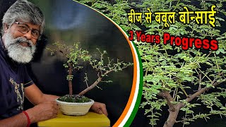 Step by Step Seed to Bonsai, 3 Years Progress, Acacia Bonsai. Be the Creator, July'21