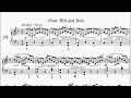 Heller 25 Studies Op.45 No.24 Over Hill and Dale Sheet Music