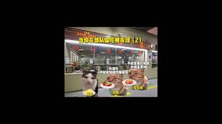 “当你在部队偷吃被发现（2）”#猫meme #猫meme小剧场 #meme猫 #meme