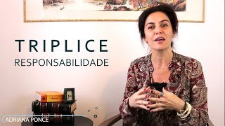 Tríplice Responsabilidade Ambiental - Penal, Administrativa e Civil | A Alma do Direito Ambiental