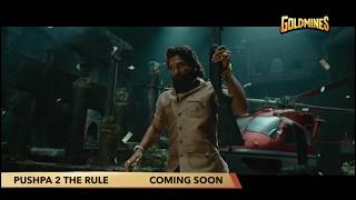 Pushpa 2 The Rule Star Gold World Television Premiere Zee Cinema TV Par Pehli Baar Goldmines Set Max