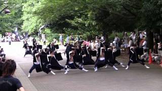 朝霞・風靡（光が丘よさこい2012・パレード会場）