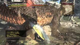 【ddon】セージソロ～双牙の軍竜ベヘモット52Lv～約6分