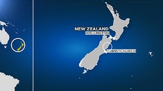 Powerful earthquake hits New Zealand