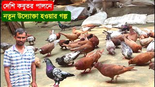 দেশি কবুতর পালনে নতুন উদ্যোক্তা হওয়ার গল্প | ১০ জোড়া কবুতর দিয়ে খামার শুরু | New Desi Pigeon Farm