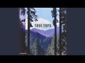 Tree Tops