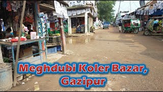 Meghdubi Bazar Gazipur/Koler Bazar Gazipur/মেঘডুবী কলের বাজার গাজীপুর/গাজীপুর ভ্রমণ গাইড/Gazipur