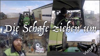 FarmVLOG#83 - die Schafe ziehen um