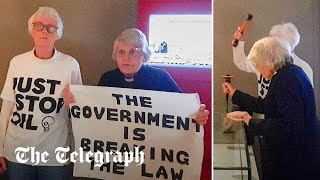 Elderly Just Stop Oil protesters target Magna Carta