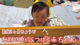 【生後11ヶ月ちょうど】何回も頭をぶつける赤ちゃん😭【りあっぴ 成長記録】