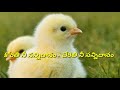 కోరితి నీ సన్నిధానం చేరితి నీ సన్నిధానం telugu christian melody song spiritual ss brothers song