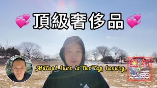 相愛才是頂級奢侈品 20240219Vlog @NewYorkUncle @NYDaShu