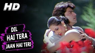 Dil Hai Tera Jaan Hai Teri | Alka Yagnik, Kumar Sanu | Muqaddar 1996 HD Songs | Rohit Kumar, Simran