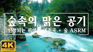 [4k] 3시간 머리가 맑아지는 숲소리 ASMR 🍀 새소리와 물소리를 들으며 힐링하기, 새소리, 자연의소리, 휴식명상 (숲 ASMR🌳) By: Soul Korea.