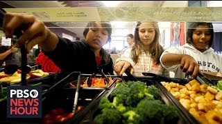 Can schools spare kids 'lunch shaming' while still paying the bills?