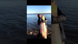 Second Fishing #fish#fishing videos#fish catching#catching fish#best fishing video#fish video#Short