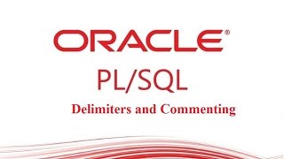 PL/SQL tutorial : PL/SQL Delimiters and Commenting in Oracle Database