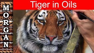 Painting a Tiger in oils - How to paint animals - Jason Morgan wildlife art