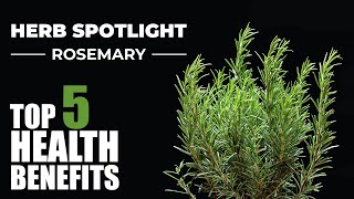 TOP 5 BENEFITS OF ROSEMARY - HERB SPOTLIGHT