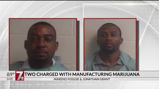 Laurens Co. magistrate arrested in pot growing operation