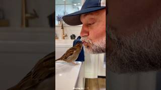 Grandpa Rescued A Sparrow 🤗🥰