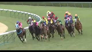 カレンチャン 2011年 第54回サンケイスポーツ杯 阪神牝馬ステークス(GII) (優勝馬：カレンチャン) (実況：ラジオNIKKEI)