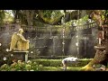 enchanted water fountain ambience 🐱☕📚🌼 healing spring summer u0026 water fountain sounds